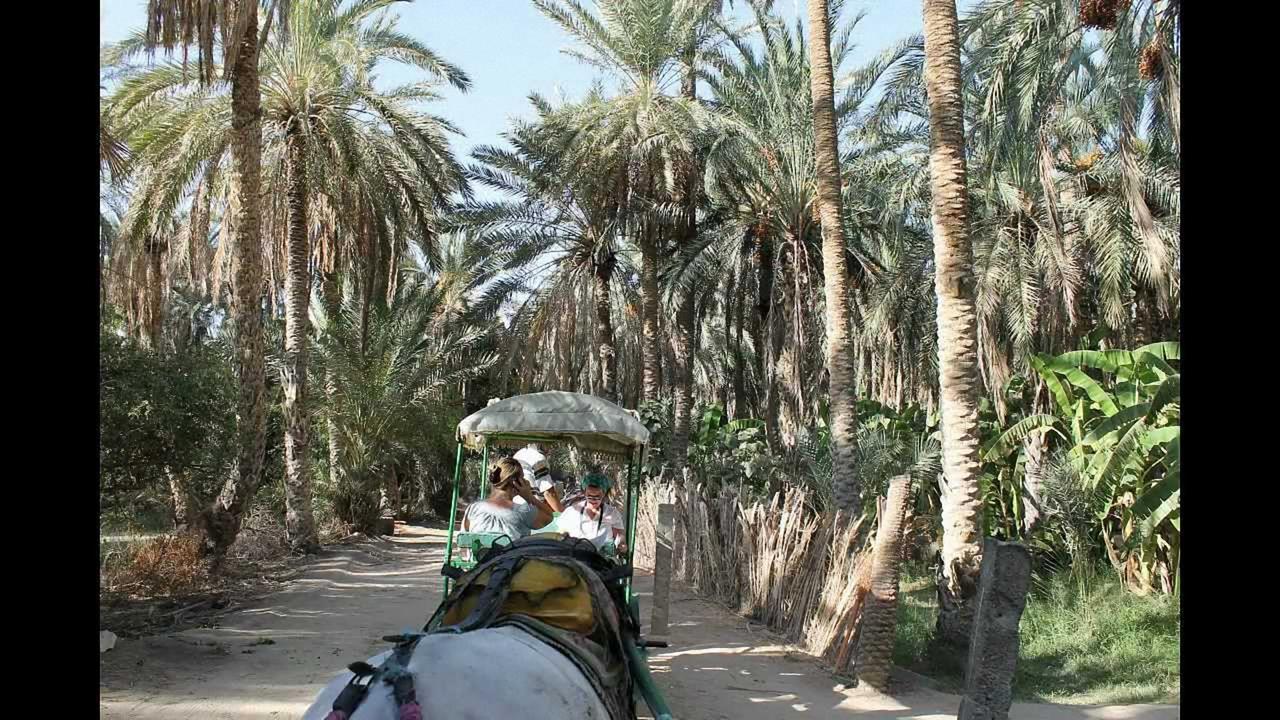 הוילה טוזר Dar Ezzahra מראה חיצוני תמונה